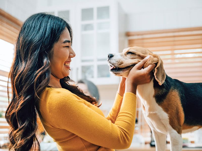 Your Dog Makes Eye Contact With You