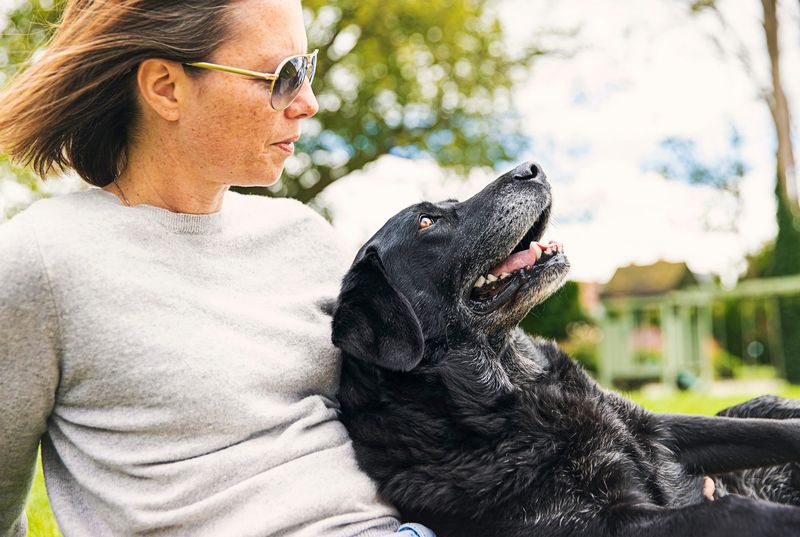 Your Dog Leans Against You