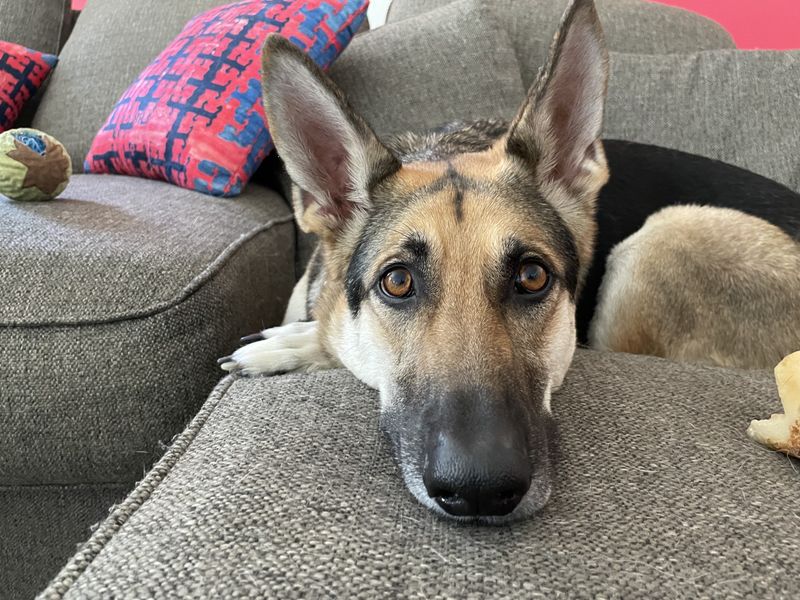 Personal Space