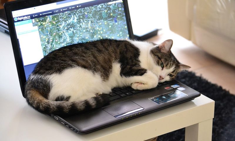 Your Phone Or Laptop