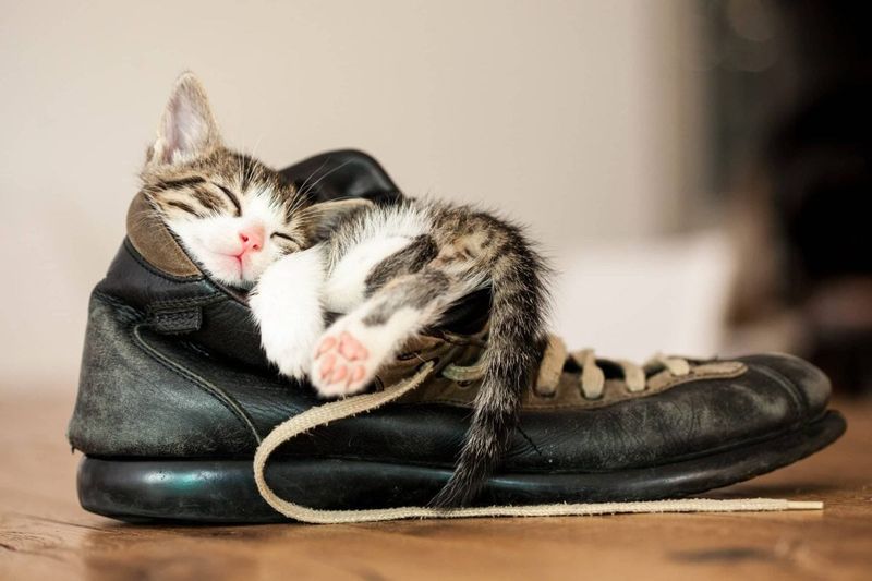 Your Shoes