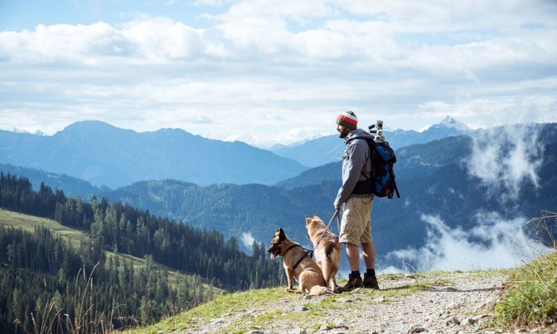 The Adventures You Share Together