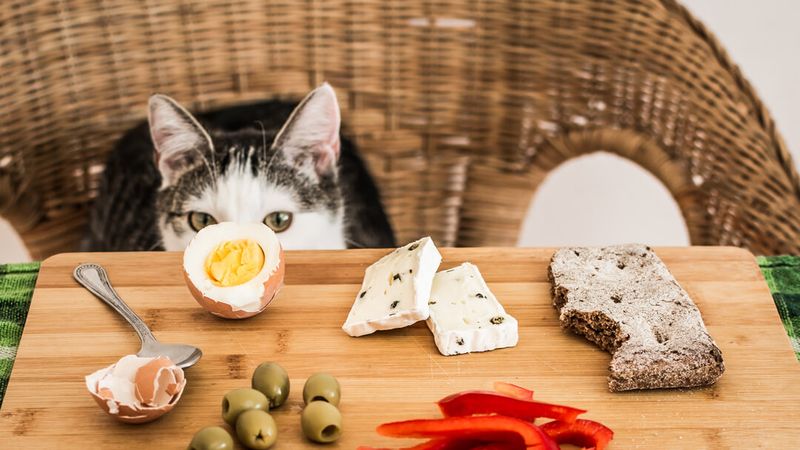 Your Food Preferences