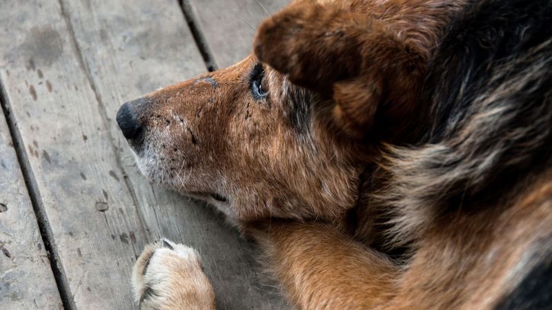 Struggling To Breathe Even When Resting
