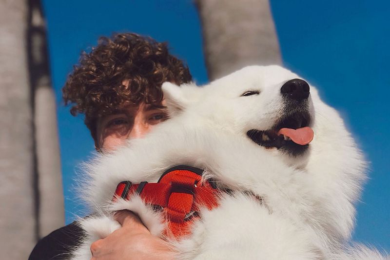 Your Social Media Gets A Furry Makeover