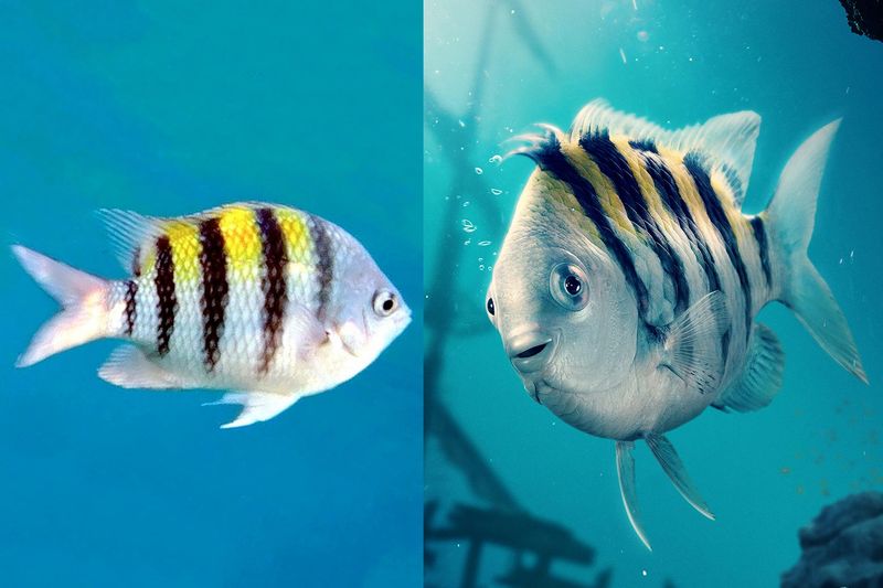Flounder's Finned Friend