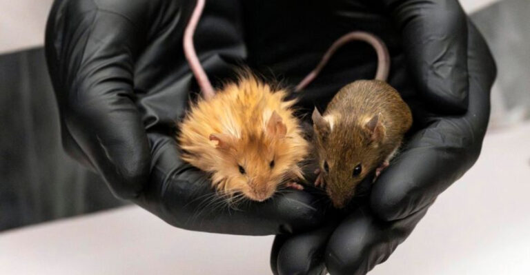 10 Ancient Species Scientists Recently Brought Back To Life (Kind Of)
