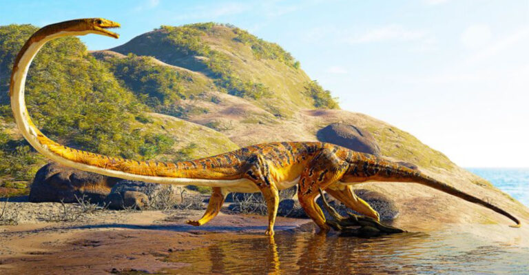 10 Bizarre Creatures That Roamed During The Triassic Period