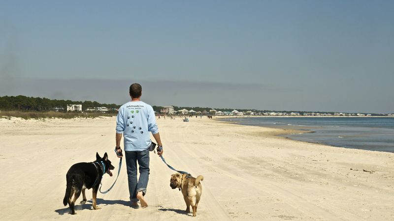Perdido Key's Sandy Paradise