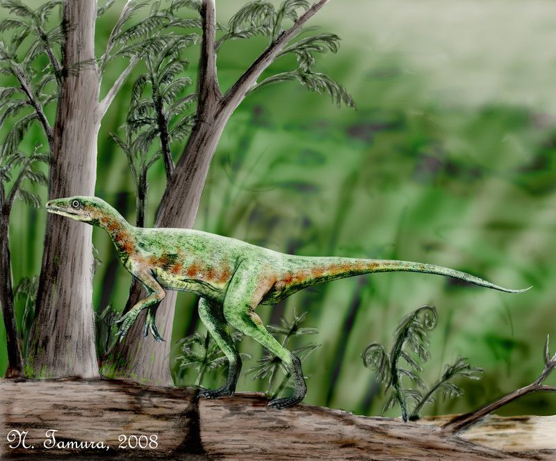 Eoraptor: The Dawn Runner
