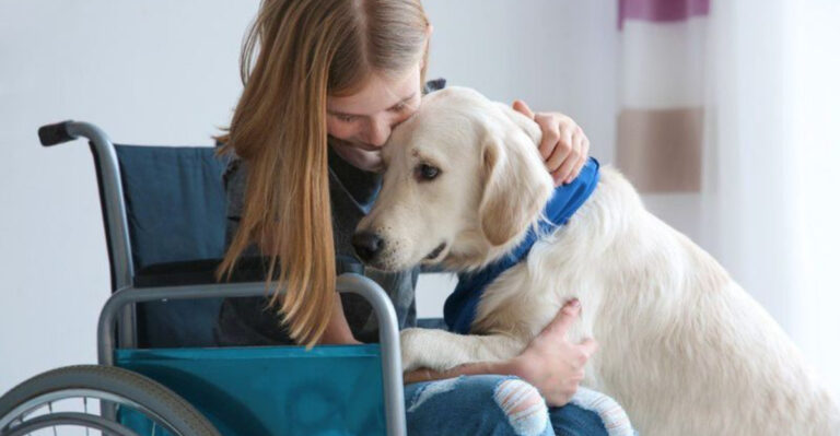 10 Most Empathetic Dog Breeds (And 5 Less Emotionally Attuned Breeds)
