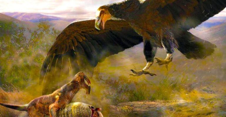 11 Fossil Finds That Redefined The Limits Of Animal Size