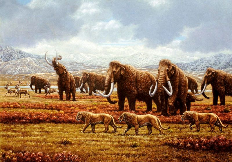 Ancient Elephants Roamed North America