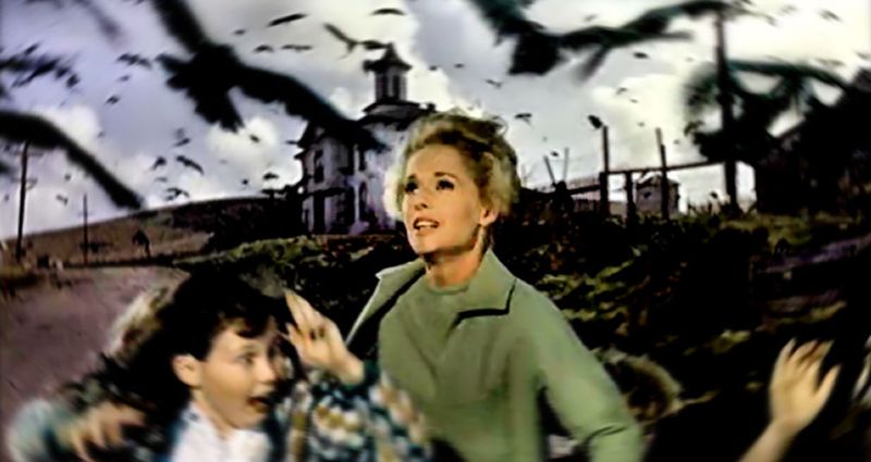 The Birds (1963)