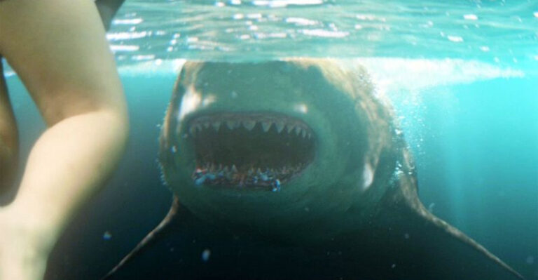 13 Animal Attack Movies That Are Just As Thrilling As Jaws