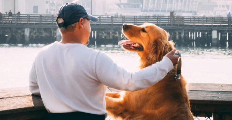 13 Unbelievable Ways Dogs Show They Understand Human Emotions