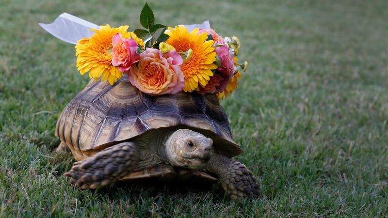 Slow Movements Promote Relaxation