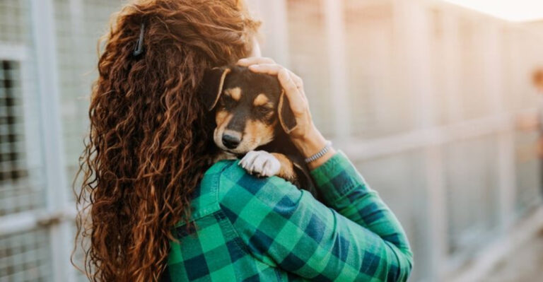 14 Ways You Can Transform A Shelter Dog’s Life With Love And Care