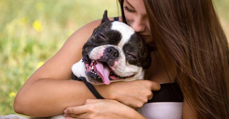 15 Dog Breeds That Have Love Down To An Art