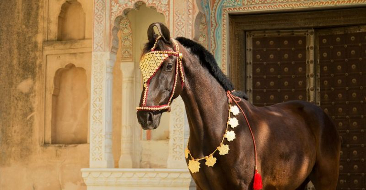 15 Horse Breeds That Turn Heads With Their Elegance