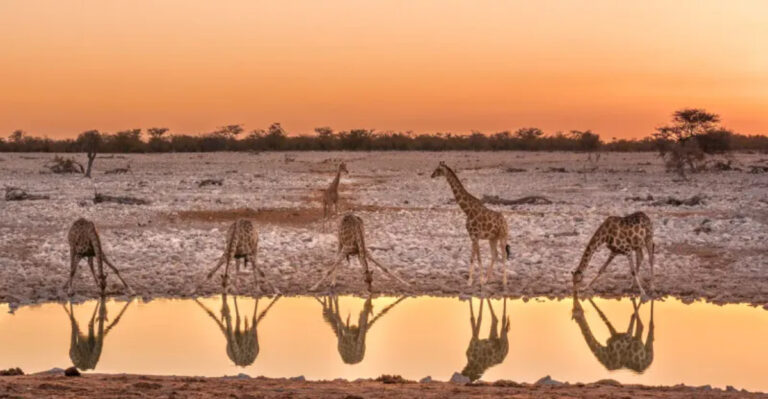 15 National Parks Every Wildlife Lover Should Visit