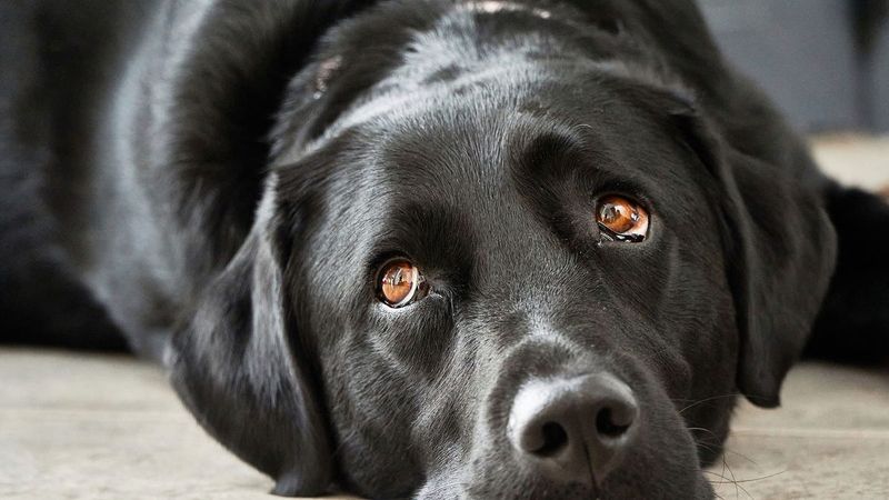 Avoiding Eye Contact
