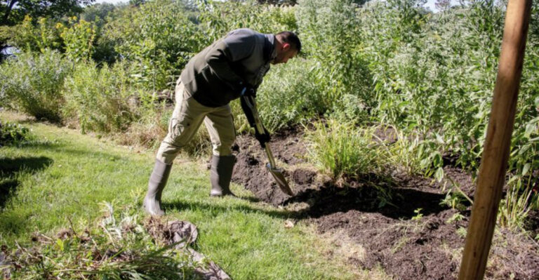 16 Reasons Why Backyard Pet Burials Are A Risky Choice