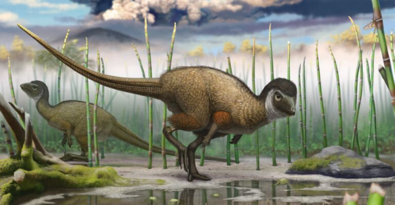 17 Shockingly Small Dinosaurs That Could Fit In Your Backpack