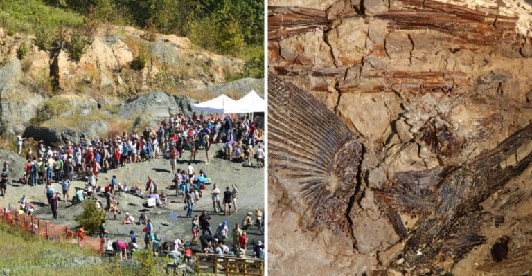 A Dinosaur ‘Tombstone’ Resting Under New Jersey Tells The Story Of Prehistoric Giants