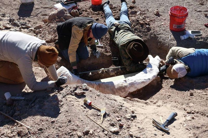 The Paleocene Period's Unexpected Giant Emerges