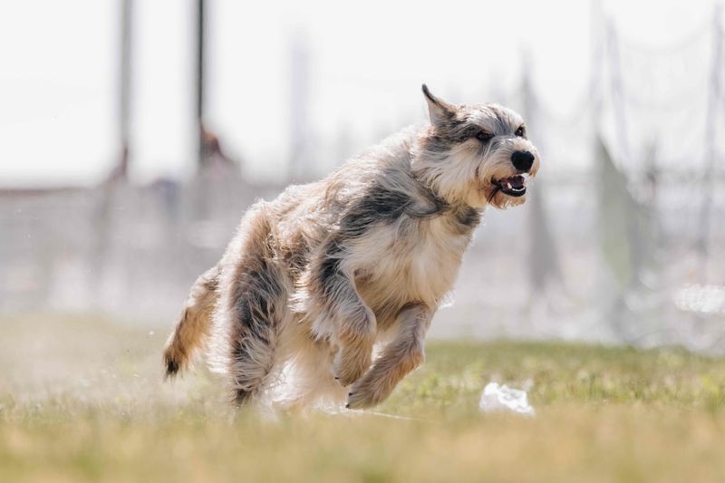 Playful Spirit Into Adulthood
