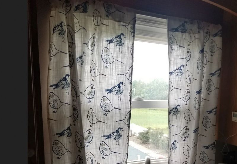 How Changing Curtains Helped Birds See The Glass