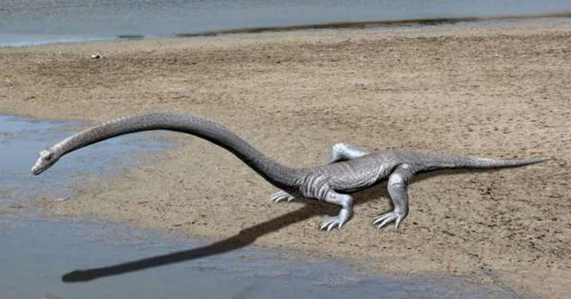 Tanystropheus