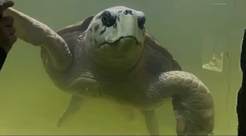 Living In An Argentine Aquarium For 40 Years
