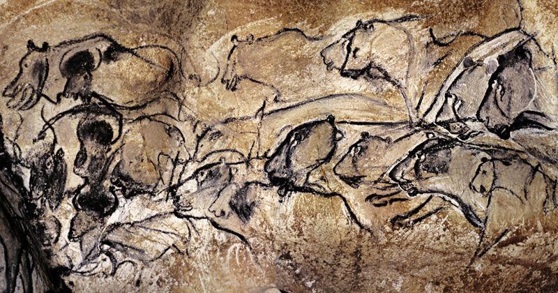 Eurasian Cave Lion: The Muse Of Ice Age Artists