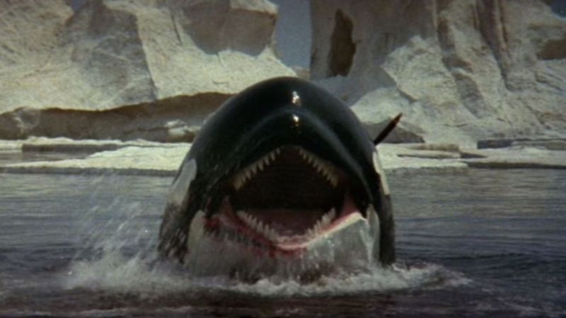 Orca (1977)
