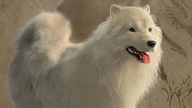 Mutton Was More Than Just A Dog