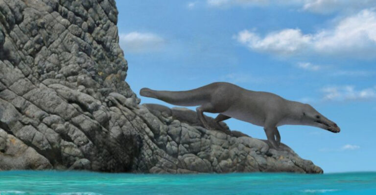 Ancient Four-Legged Whale Species Discovered In Peru Dating Back 40 Million Years