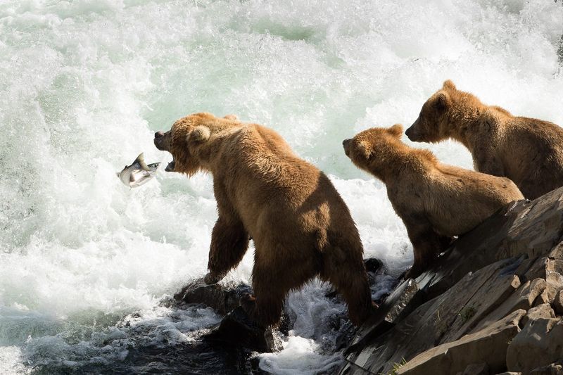 Kodiak National Wildlife Refuge, Alaska