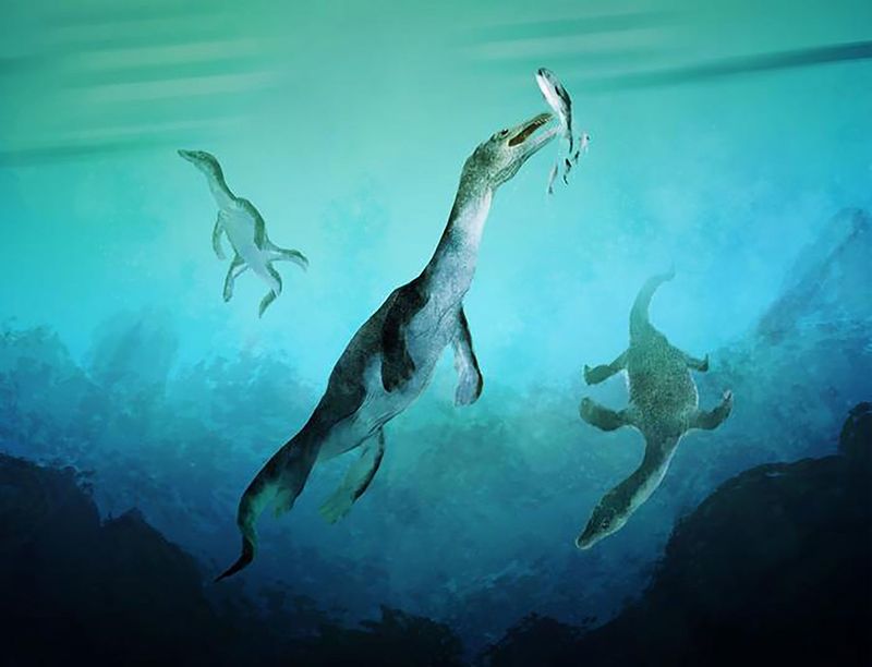 Missing From The Deep Blue