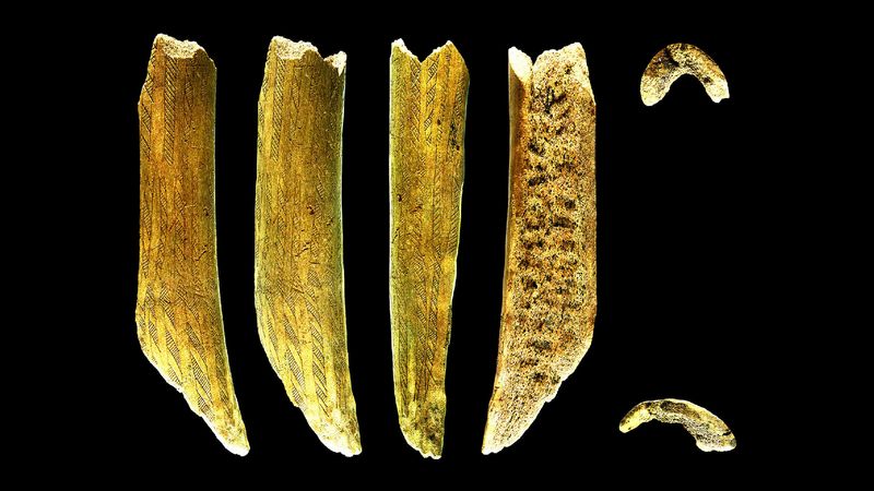 The Discovery Of The 25,000-Year-Old Mammoth Rib With An Arrowhead