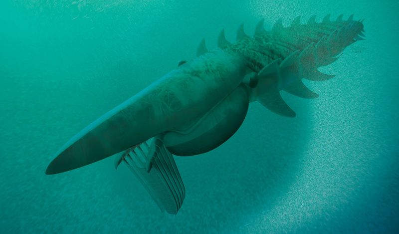 Aegirocassis