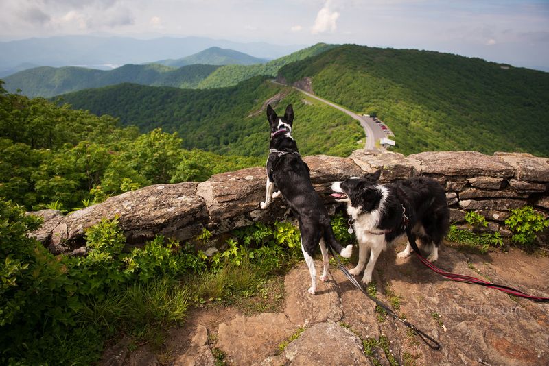 Asheville, North Carolina