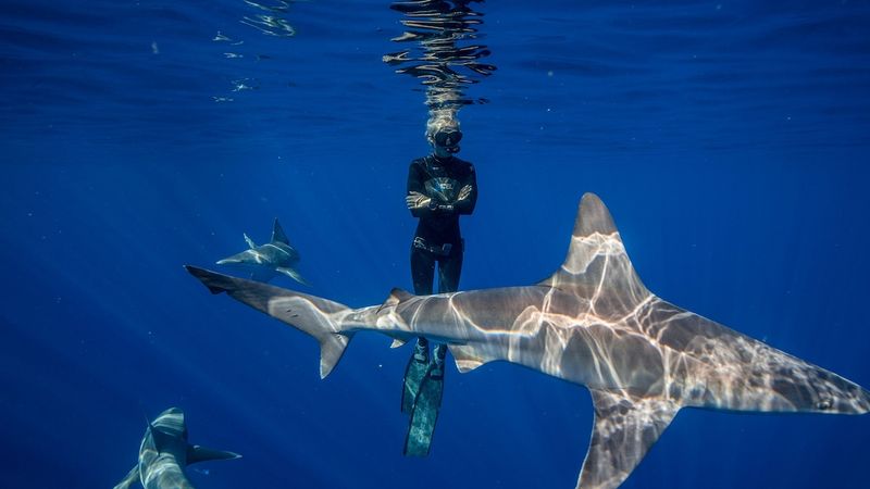Don't Enter The Water Alone