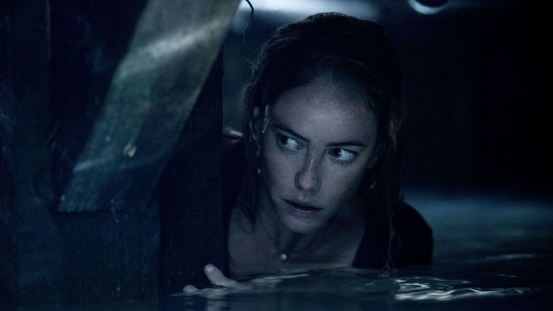Crawl (2019)