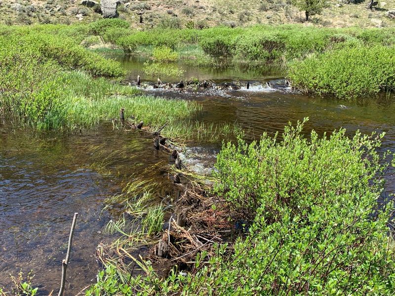 Their Dams Help Prevent Flooding Downstream