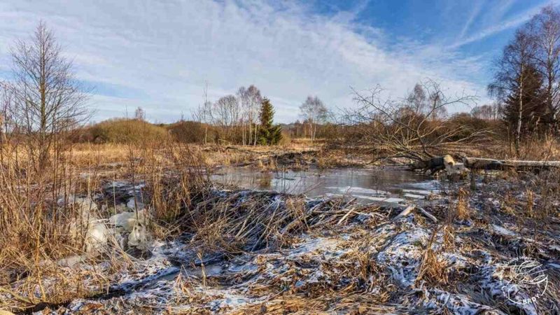 Their Work Helps Reduce Soil Erosion