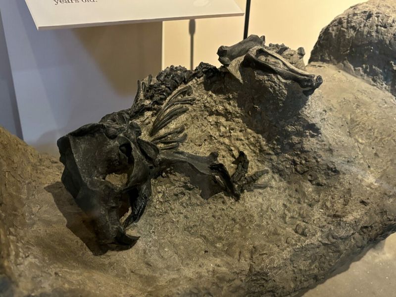 Proof Of Water In Ancient Times