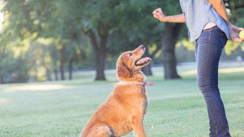 Schedule Regular Training Sessions