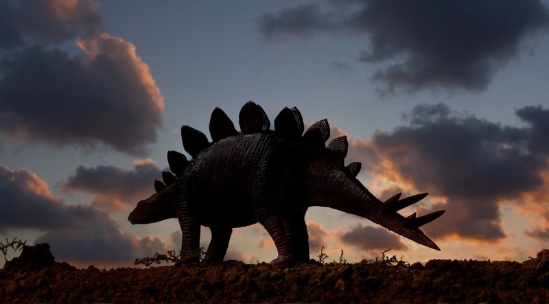 Dates Back 150 Million Years
